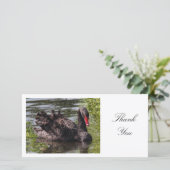 Black Swan - Danke (Stehend Vorderseite)