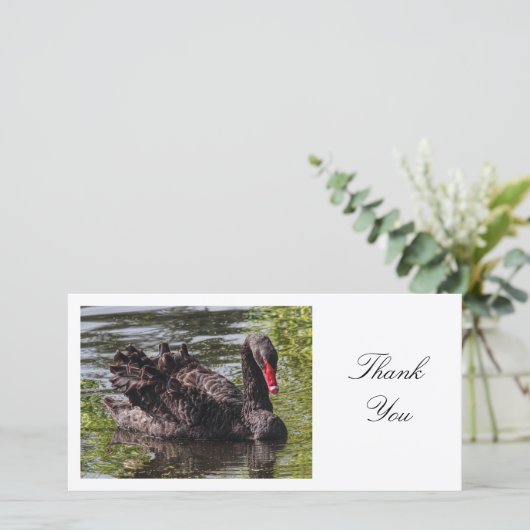 Black Swan - Danke (Stehend Vorderseite)