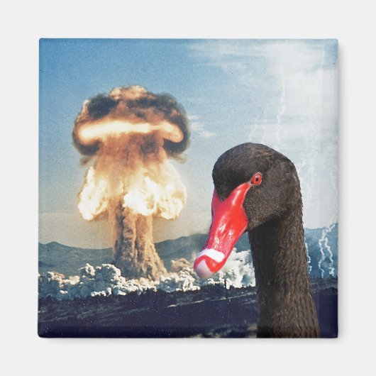 Black Swan Desaster Magnet (Vorne)