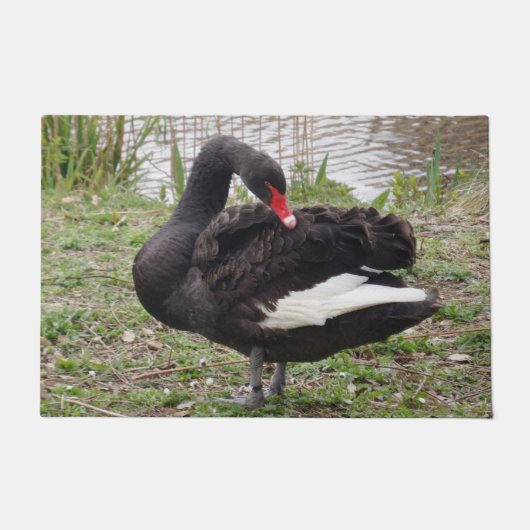Black Swan Door Mat Fußmatte (Vorderseite)
