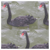 Black Swan Fabric Stoff (Nahaufnahme)