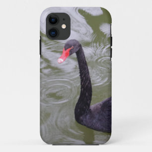 Black Swan iPhone 5/5S, selten dort Case-Mate iPhone Hülle