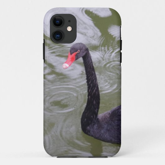 Black Swan iPhone 5/5S, selten dort Case-Mate iPhone Hülle (Rückseite)
