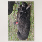 Black Swan Jigsaw Puzzle (Vertikal)