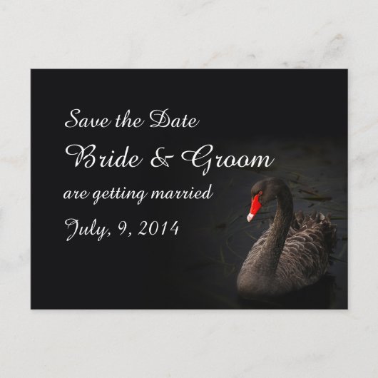 Black Swan Save the Date Postcard Ankündigungspostkarte (Vorderseite)