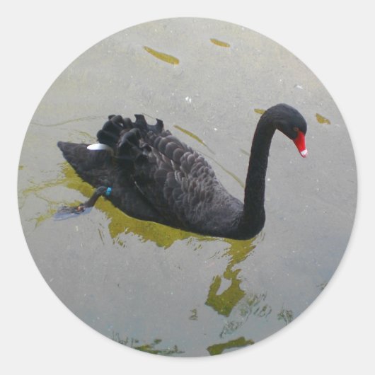 Black Swan Stickers (Vorderseite)