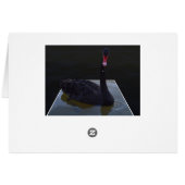 Black Swan Swimming In Dimensional Pond, (Rückseite Horizontal)