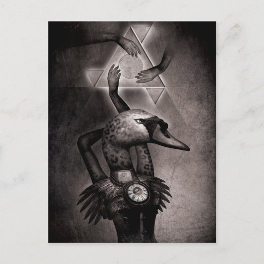 Black Swan Theory Postkarte (Vorderseite)