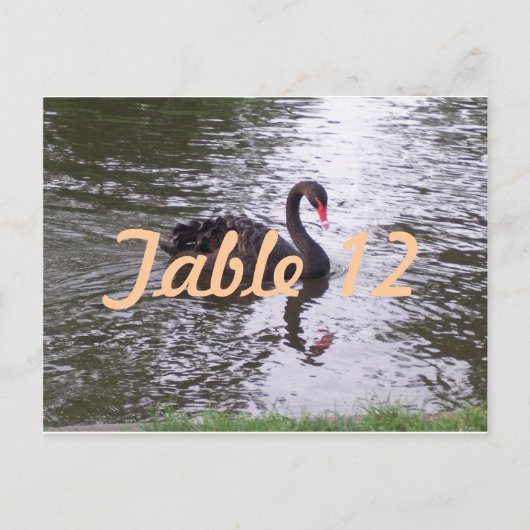 Black Swan-Tischnummer Postkarte (Vorderseite)