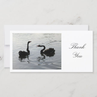 Black Swans Gruß - Danke