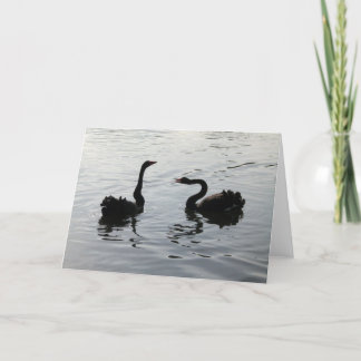 Black Swans Gruß Karte