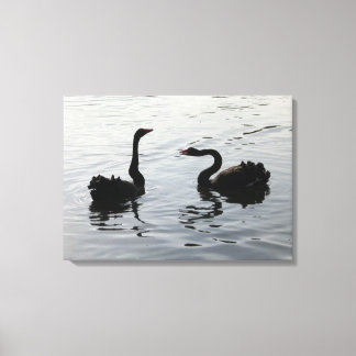 Black Swans Gruß Leinwanddruck