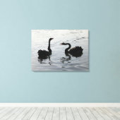 Black Swans Gruß Leinwanddruck (Insitu (Holzboden))
