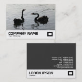 Black Swans Gruß Visitenkarte (Vorne/Hinten)