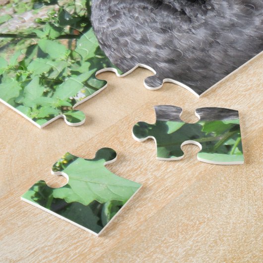 Black Swans Jigsaw Puzzle (Seite)