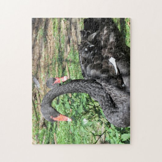 Black Swans Jigsaw Puzzle (Vertikal)