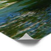 Black Swans Poster (Ecke)