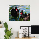 Black Swans Poster (Heimbüro)
