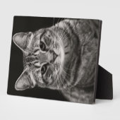 Black Tabby Kitten Fotoplatte (Seite)