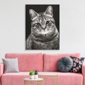 Black Tabby Kitten Leinwanddruck (Insitu (Wohnzimmer))