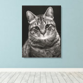 Black Tabby Kitten Leinwanddruck (Insitu (Holzboden))