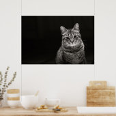 Black Tabby Kitten Poster (Küche)
