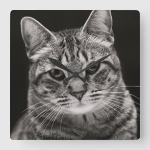 Black Tabby Kitten Quadratische Wanduhr