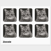 Black Tabby Kitten Quadratischer Aufkleber (Blatt)