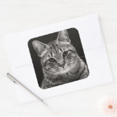 Black Tabby Kitten Quadratischer Aufkleber (Umschlag)