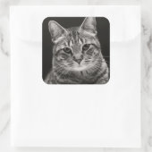 Black Tabby Kitten Quadratischer Aufkleber (Tasche)