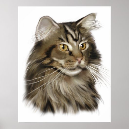 Black Tabby Maine Coon Cat Poster (Vorne)