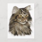 Black Tabby Maine Coon Cat Postkarte (Vorderseite)