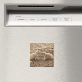 Black Tails Prarie Marmot Magnet (In Situ (Geschirrspüler))