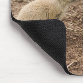 Black Tails Prarie Marmot Mousepad (Ecke)