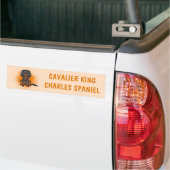 Black & Tan Cavalier King Charles Dog auf Orange Autoaufkleber (Auf Lkw)