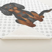 Black & Tan Cavalier King Charles Spaniel & Paws Sherpadecke (3/4)