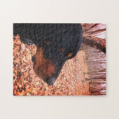 Black & Tan Coonhound Puzzle (Horizontal)