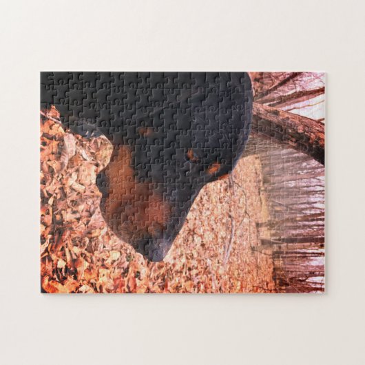 Black & Tan Coonhound Puzzle (Horizontal)