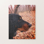 Black & Tan Coonhound Puzzle (Vertikal)