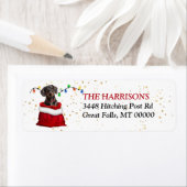 Black Tan Dackel Hund in Geschenkbeutel Rücksendea (Insitu)