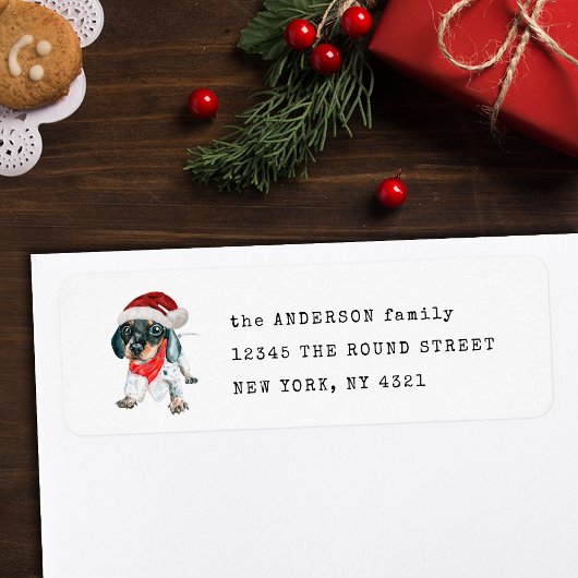 Black Tan Piebald Dackel Welpe Rücksendeadresse