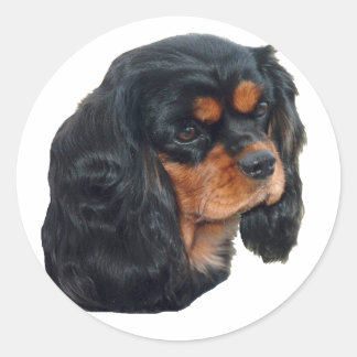 Black & Tan Runder Aufkleber