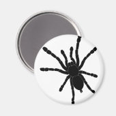 Black Tarantula Kühlschrankmagnet (Vorderseite/Rückseite)