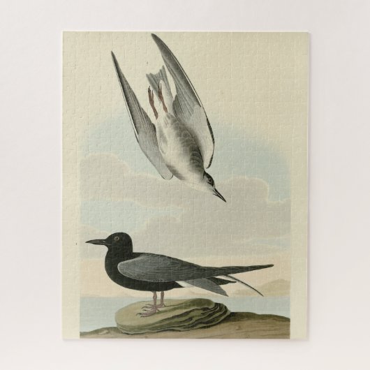 Black Tern aus Audubons Vögeln von Amerika Puzzle (Vertikal)