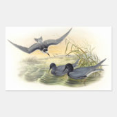 Black Tern Rechteckiger Aufkleber (Vorderseite)