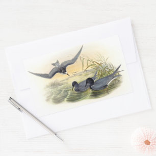 Black Tern Rechteckiger Aufkleber