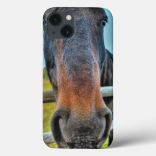 Black Thoroughbred Percheron Horse Muzzle Foto Case-Mate iPhone Hülle