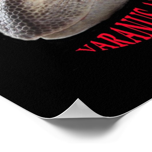 Black Throat Monitor Lizard Poster (Ecke)