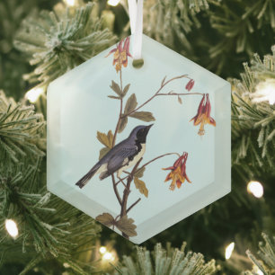 Black-Throated Blue Warbler Audubon Bird Lover Ornament Aus Glas