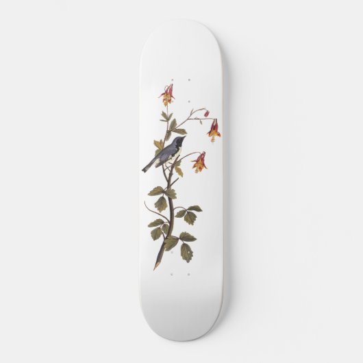 Black-Throated Blue Warbler Audubon Bird Lover Skateboard (Vorderseite)